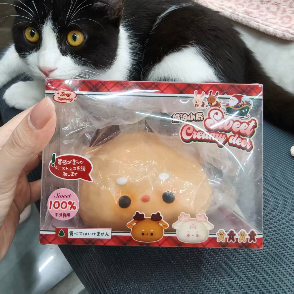 Zoey Christmas Creamy Reindeer